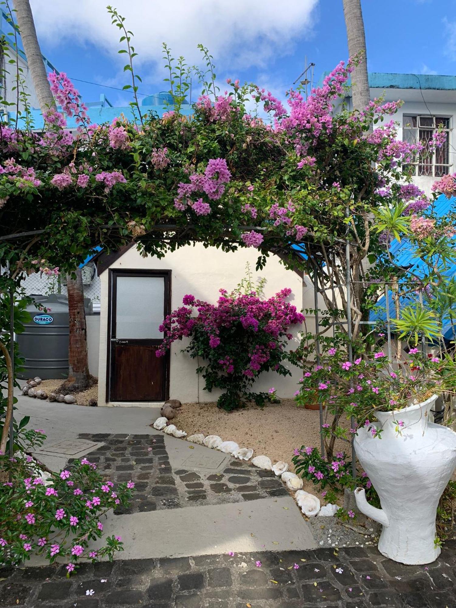 Chillpill Guest House Mahebourg Ngoại thất bức ảnh