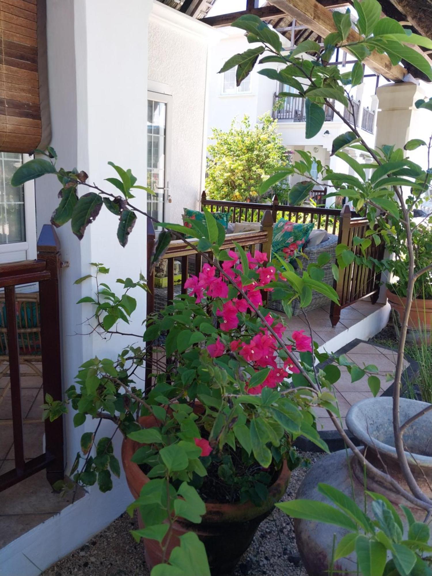 Chillpill Guest House Mahebourg Ngoại thất bức ảnh